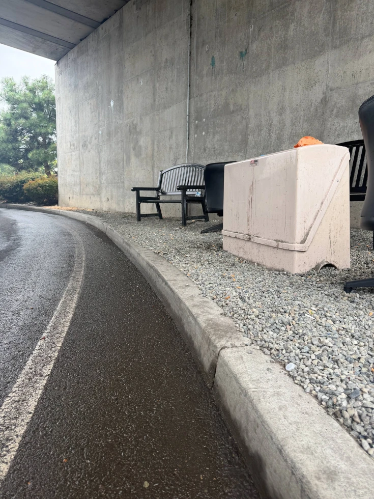 Street Sweeping After Picture 2