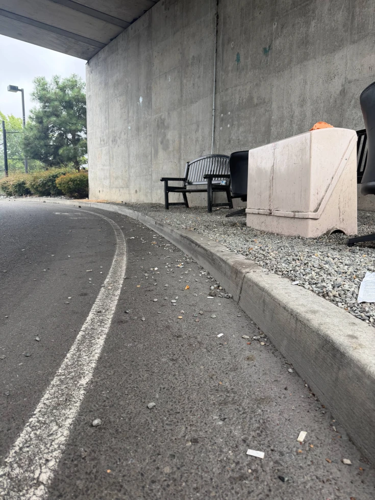 Street Sweeping Before Picture 2